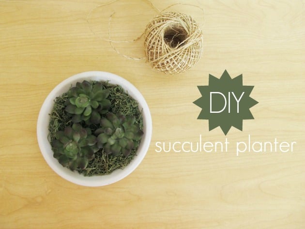 DIY succulent planter tutorial