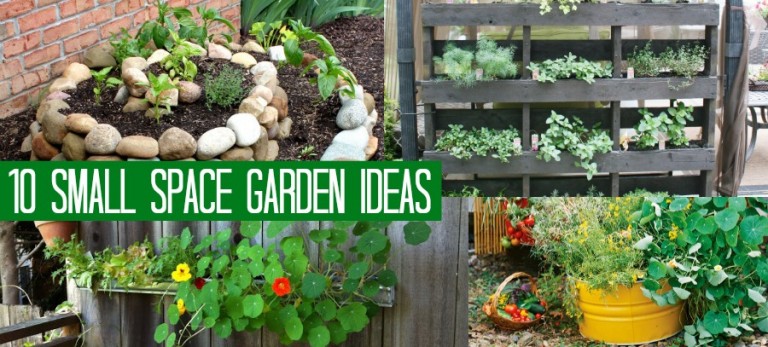 10 Small Space Garden Ideas And Inspiration