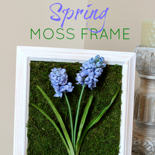 Spring Moss Frame