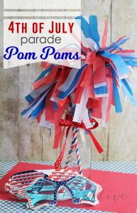 Patriotic Parade Pom Poms-Hero