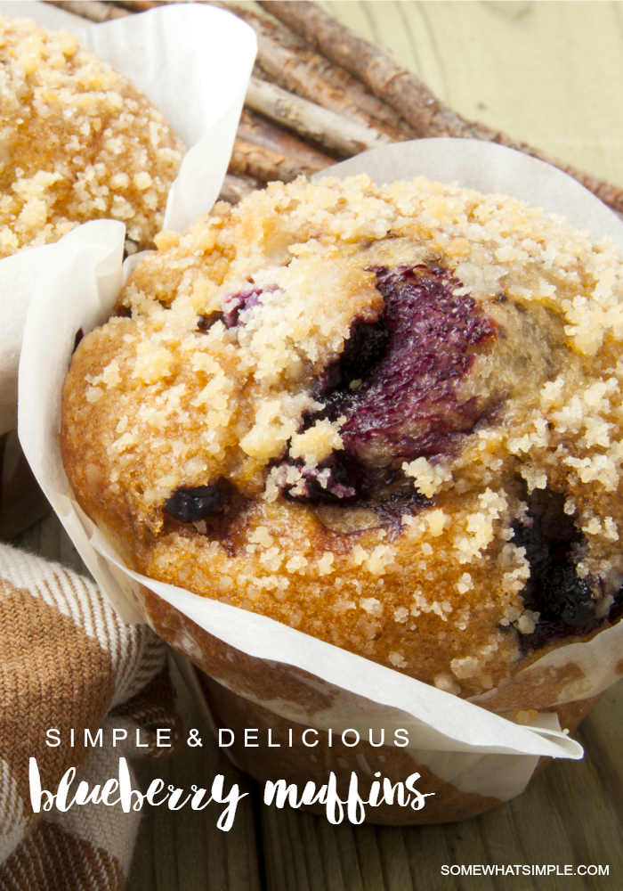 Blueberry-Muffins-Recipe-somewhat simple