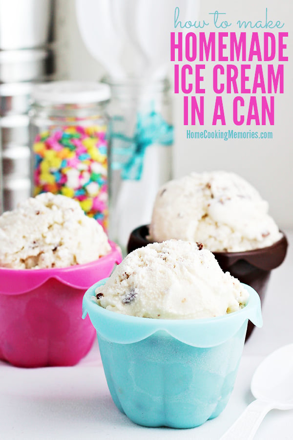 How-to-Make-Homemade-Ice-Cream-in-a-Can-4