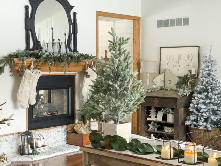 Image for Frosted Greens and Magnolia Leaves
