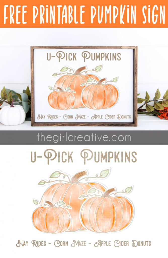 U-Pick Pumpkins Wood Sign Photograph