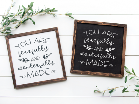 Image for You Are Fearfully and Wonderfully Made