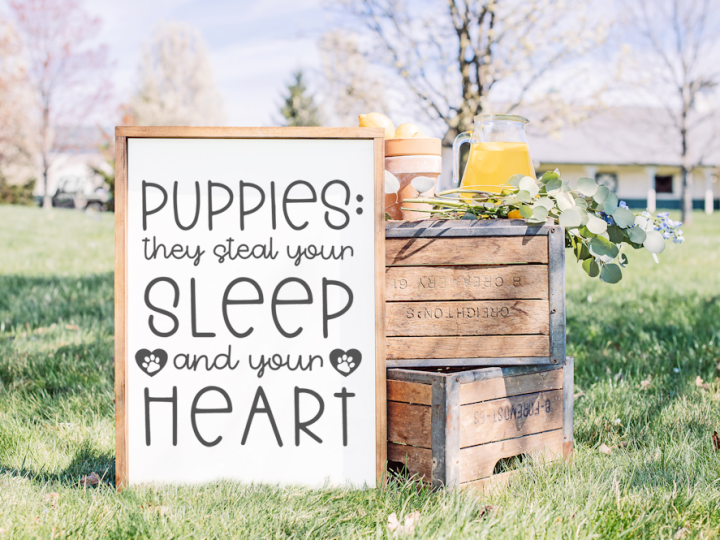Image for Puppies Steal Your Heart