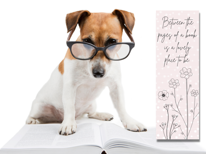 Image for BETWEEN THE PAGES OF A BOOK IS A LOVELY PLACE TO BE