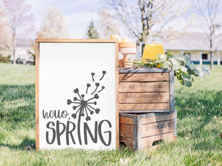 Image for HELLO, SPRING