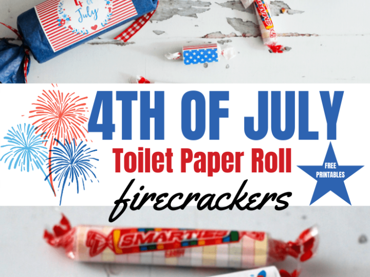 Toilet Paper Roll Craft
