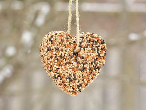 Image for Birdseed Ornaments | One Little Project at a Time