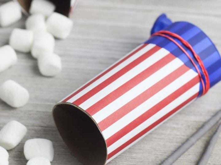 Image for DIY Marshmallow Shooters with a Toilet Paper Roll