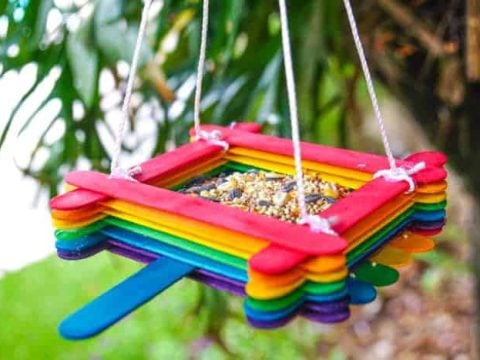Image for Popsicle Stick Bird Feeder Craft | Made with Happy