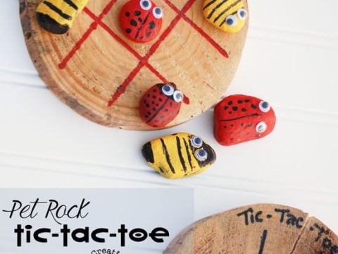 Image for Pet Rock Tic-Tac-Toe | One Creative Mommy