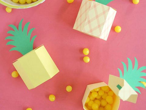Image for DIY Pineapple Box
