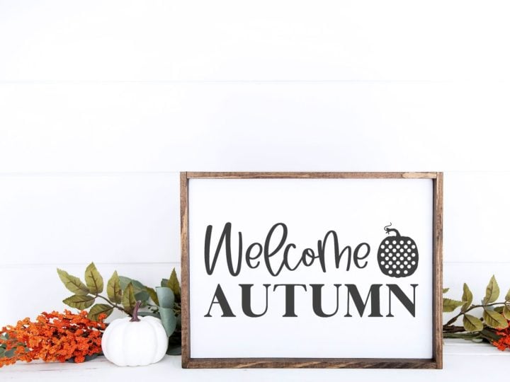Image for WELCOME AUTUMN