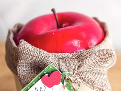 Image for Apple Sugar Scrub Gift