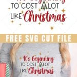 long sleeved grey shirt with funny christmas svg design that says it's beginning to cost a lot like christmas