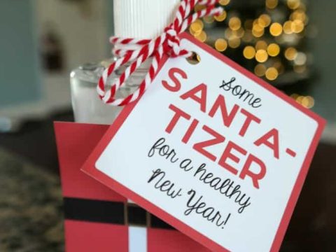Image for Santa-Tizer Hand Sanitizer Easy Christmas Gift Idea