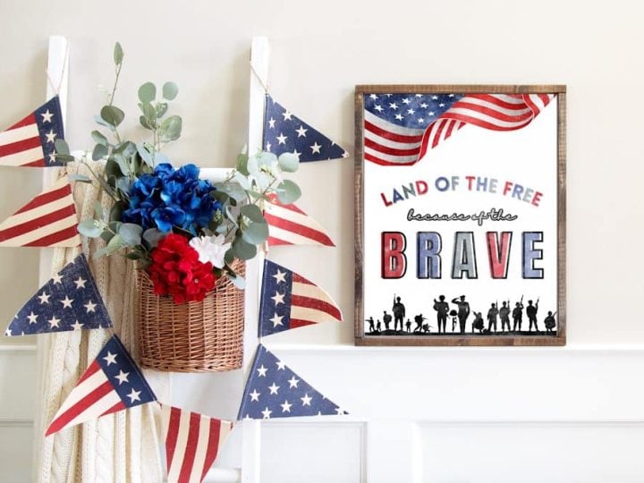 Land of the Free Because of the Brave Mockup