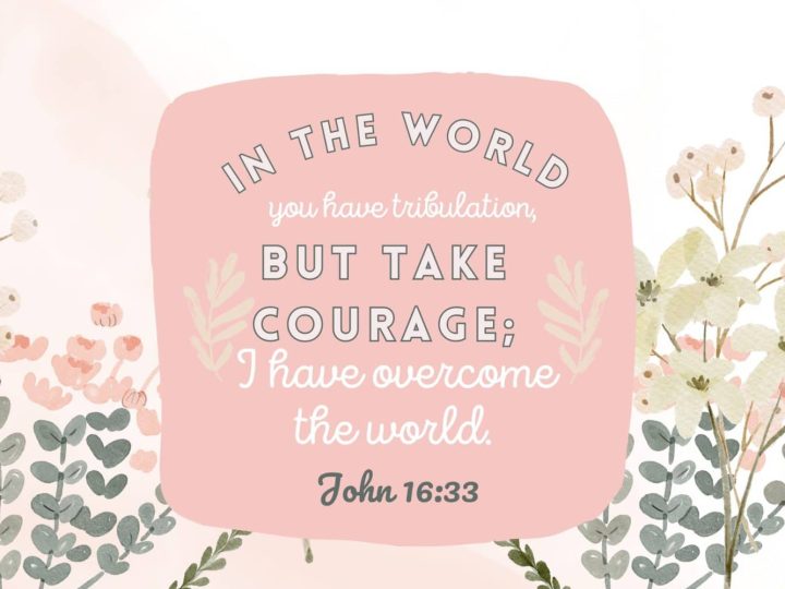 John 1633