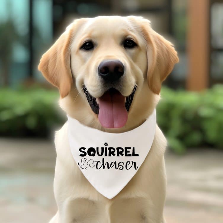 Free SVGs for Pet Lovers That Make Great Gifts