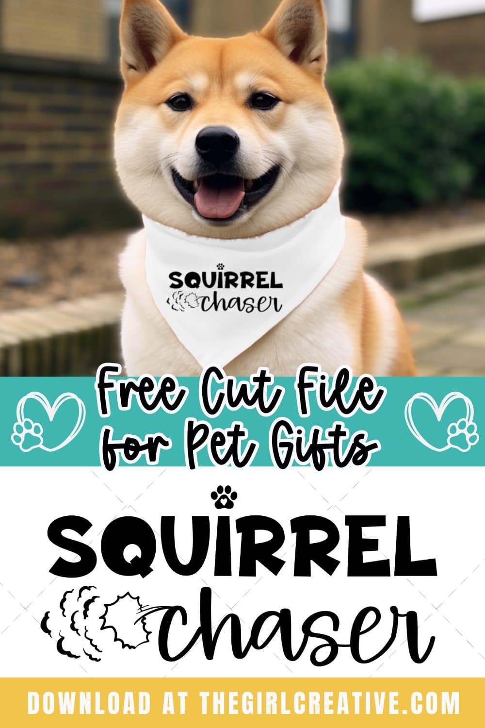 Adorable dog wearing a bandana that says squirrel chaser on it.