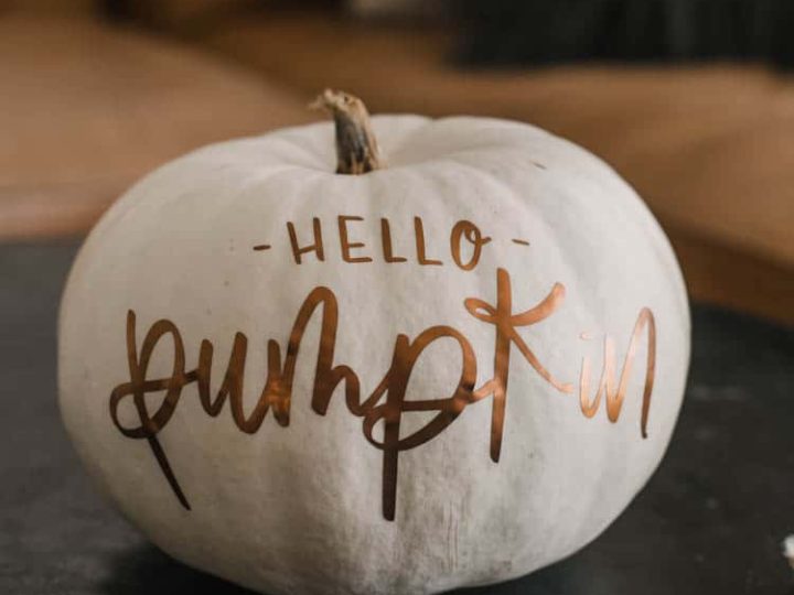 Hello pumpkin 12.jpg