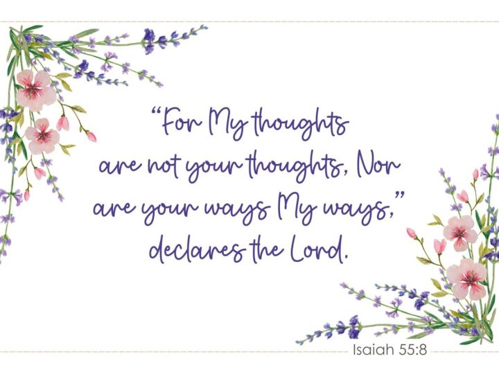 Isaiah 558