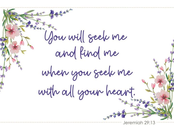 Jeremiah 29v13