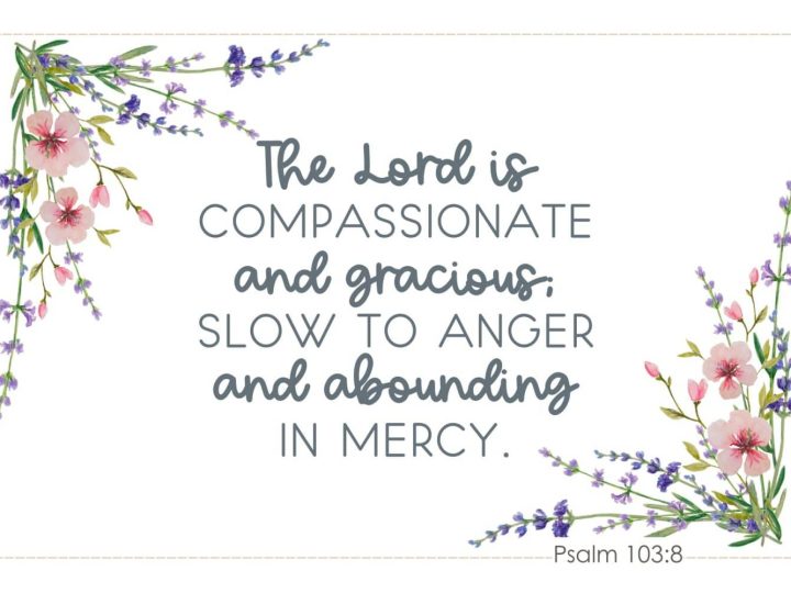 Psalm 103v8