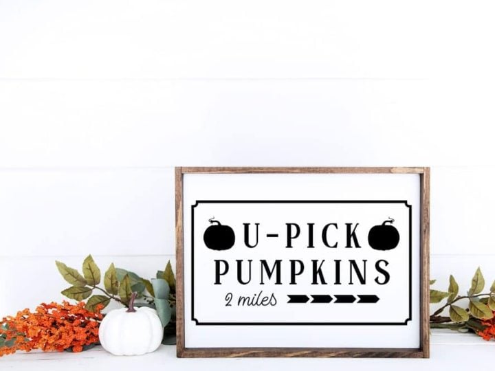 U Pick Pumpkins mockup