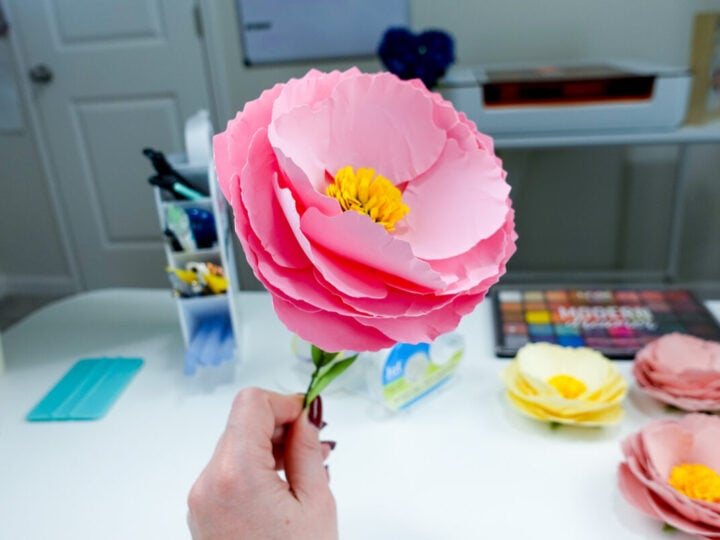 65f0b763a1fda0023939a9a7 peonies 4