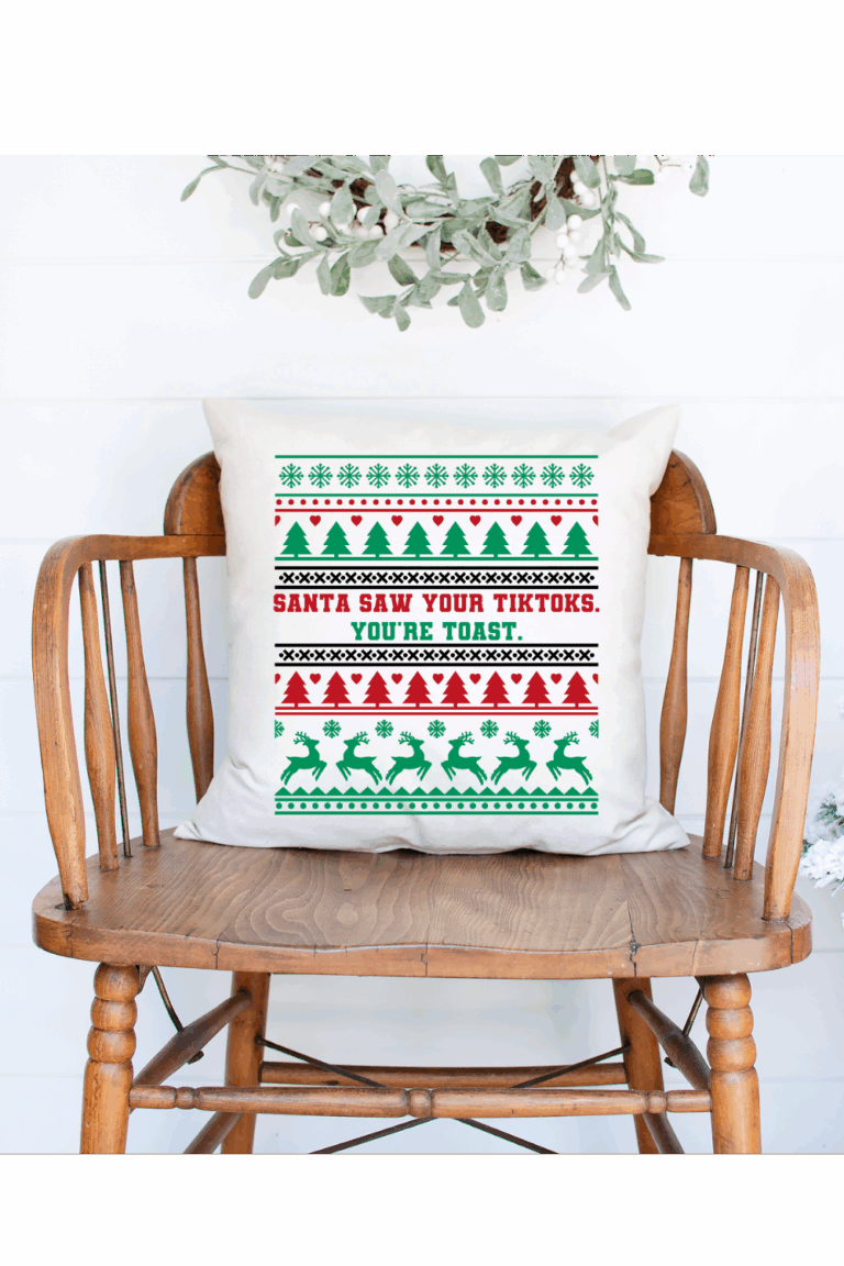 Santa Saw Your TikToks Pins